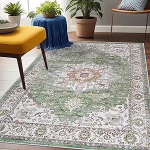 RUUGME Living Room 3x5 Area Rugs - Washable Lightweight Area Rug Stain Resistant Carpet Vintage Soft Rugs for Bedroom Kitchen with Non Slip Backing Home Decor Small Mat 3x5 Sage