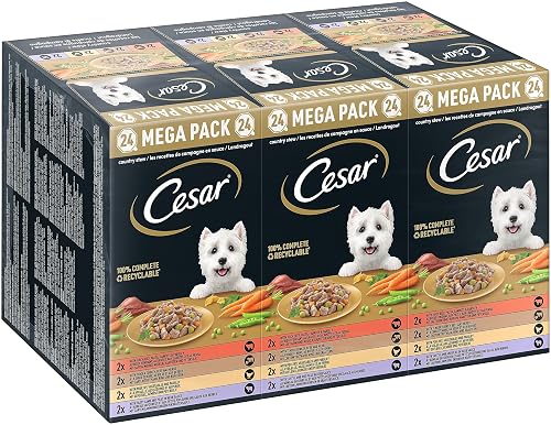 Cesar Megapack Landragout - Comida para Perros en el Cuenco - 4 variedades en Paquete múltiple - 24 x 150 g