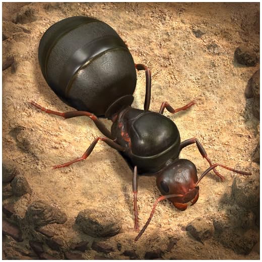The Ants: Underground Kingdom