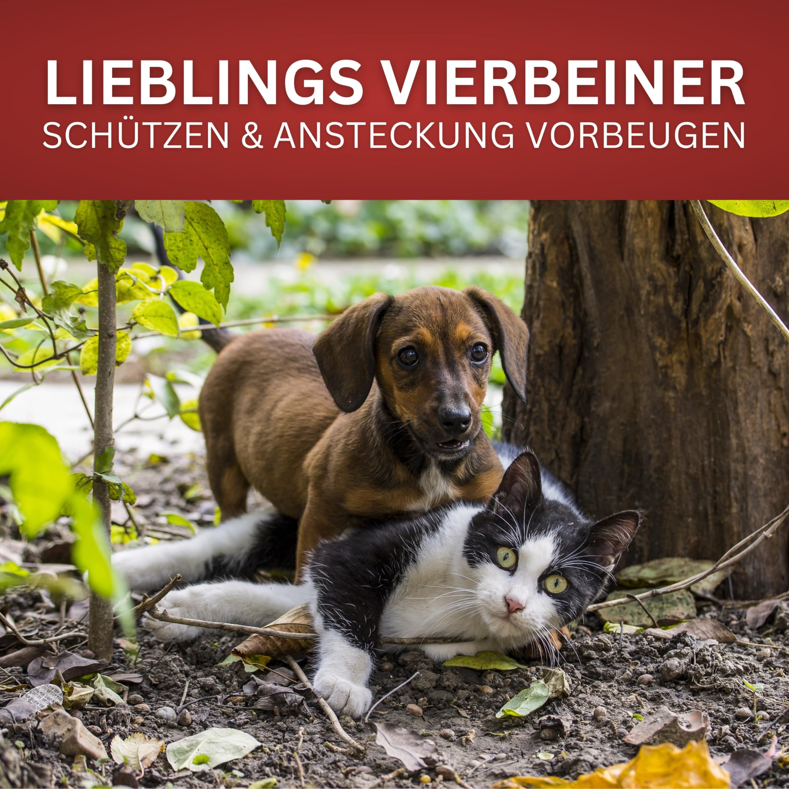 BIODELTA Giardien Spray - Giardien Wischkonzentrat für Hund, Katze & co - Haustier Hygiene Spray - Giardien Desinfektionsmittel gegen Viren Bakterien & Pilze - effektiver Geruchsentferner (2L)