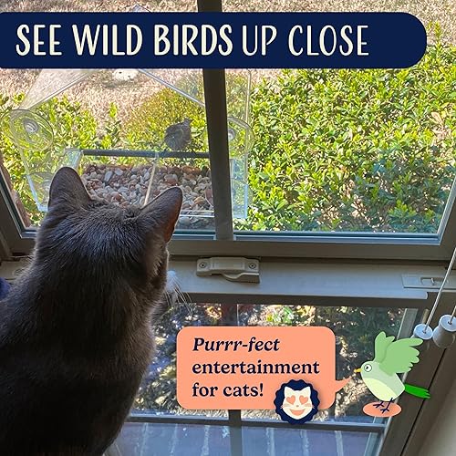 Miniatura 6 de Natures Hangout - Comedero para pájaros con ventana Casa grande de pájaros para exteriores Bandeja deslizante extraíble y orificios de drenaje Ideal