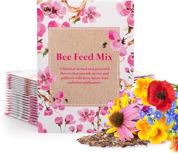 Bentley Seed Co. | 25 Non-GMO, Non-Coated Pollinator Wildflower Seed Packets for Planting | Flower Seeds | Garden Seed t