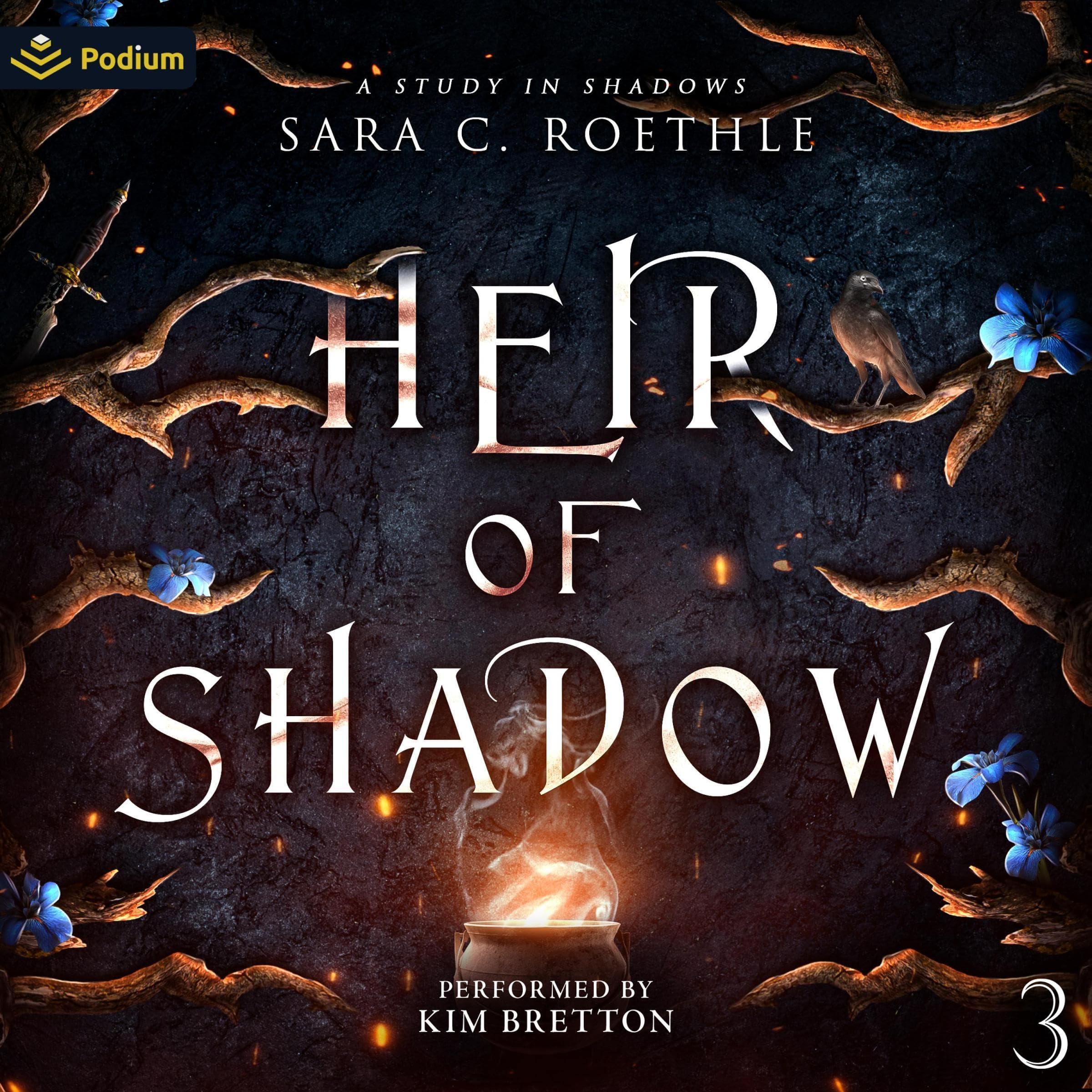 Cover art for Heir of Shadow