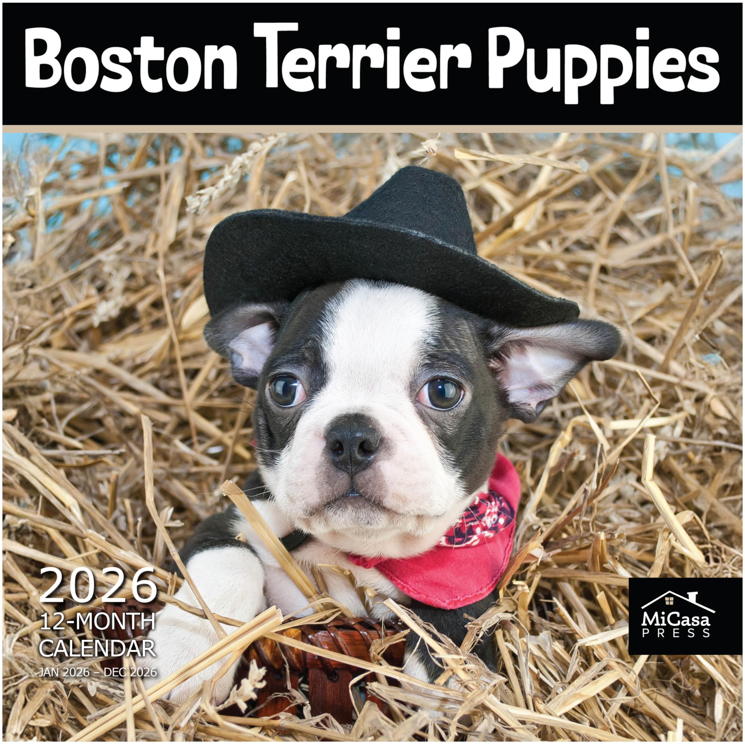 MICASA Boston Terrier Puppies 2026 Wall Calendar 12 Month | 12" x 24" Open | Thick & Sturdy Paper | Giftable | Calendar 2026