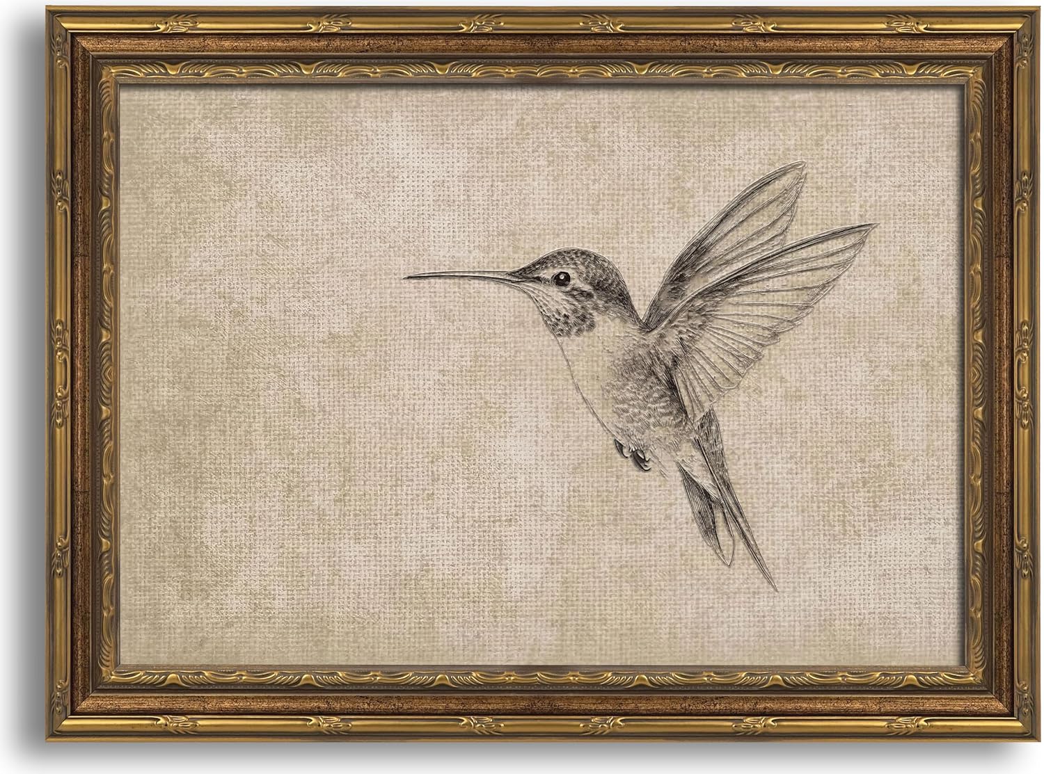 Gold Framed 3D Textured Wall Art, Vintage Sketch Hummingbird Canvas Prints, Minimalist Neutral Birds Pictures Decor, Antique Naturalist Specimen Painting Artwork for Living Room Bathroom 9x11 in