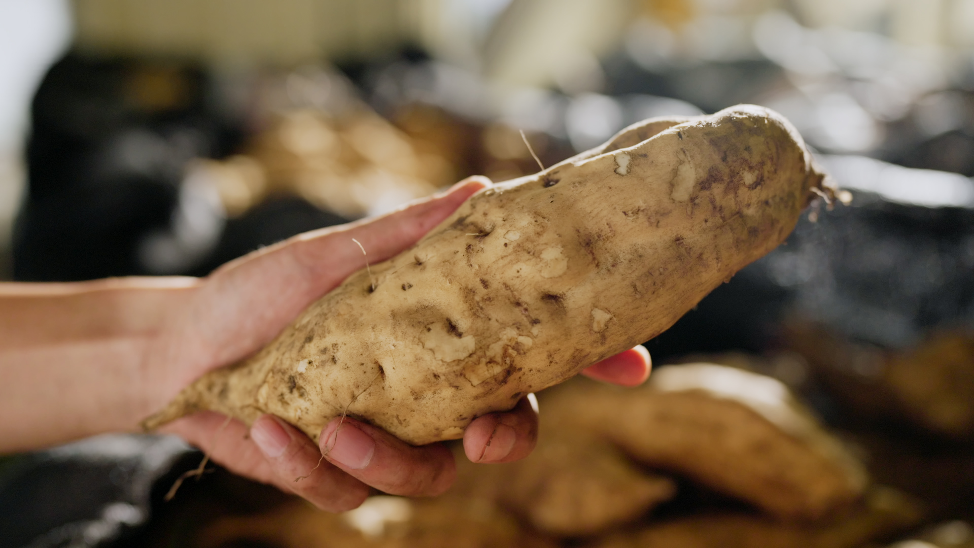 Amazon.co.jp: 【お中元 ギフト プレゼント】 宝酒造 全量芋焼酎