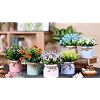 Product Photo 7