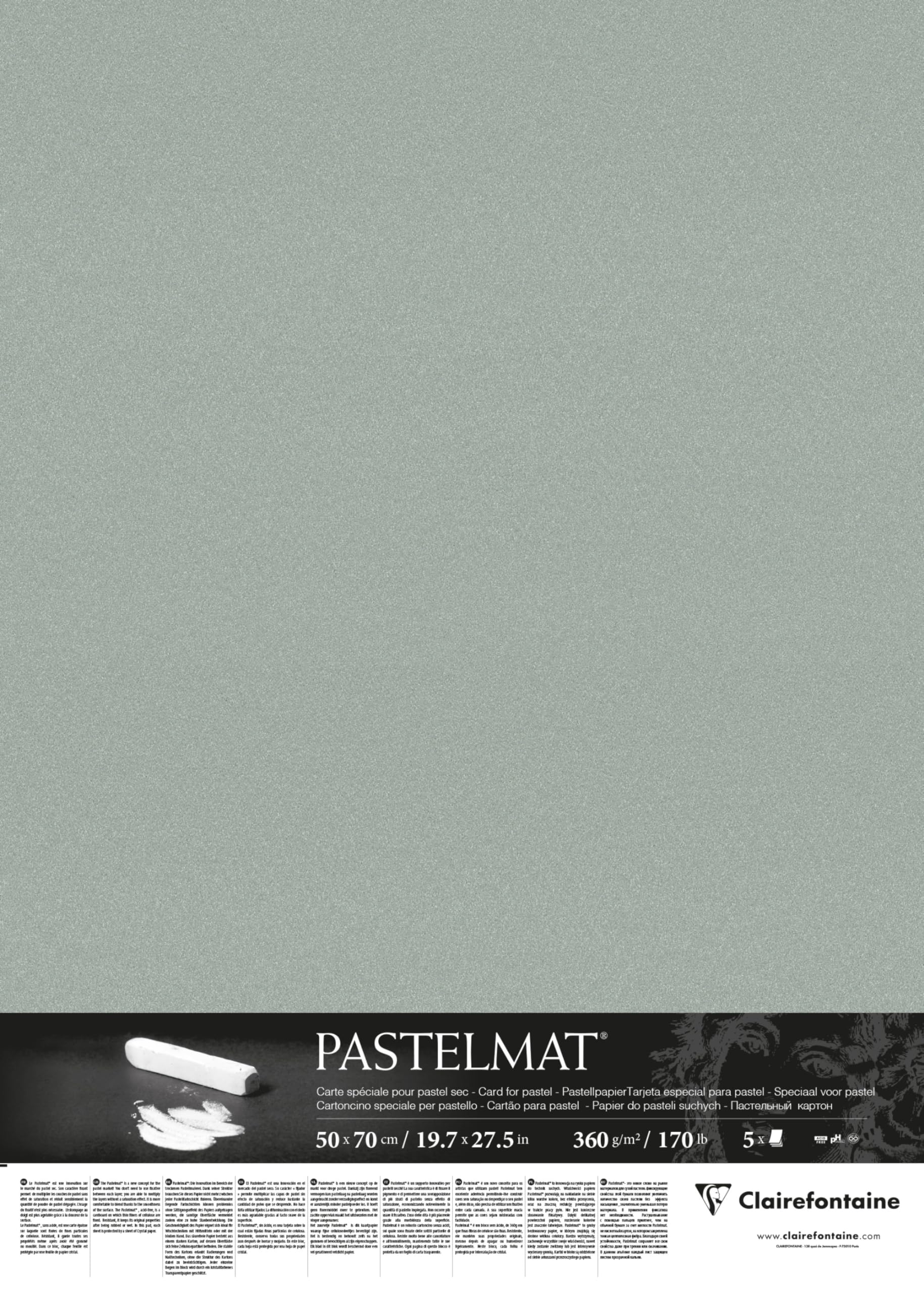Clairefontaine - Ref 96157C - Pastelmat Card Sheets (Pack of 5 Sheets) - 360gsm Card - 50 x 70cm - Light Green Colour - Specially Formulated For Use With Pastels
