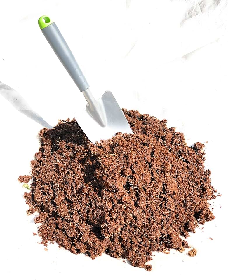 Amazon.co.uk seed compost