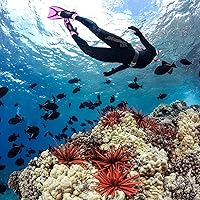 Vista 7 de Traje de neopreno Seavenger Alpha de 3mm completo