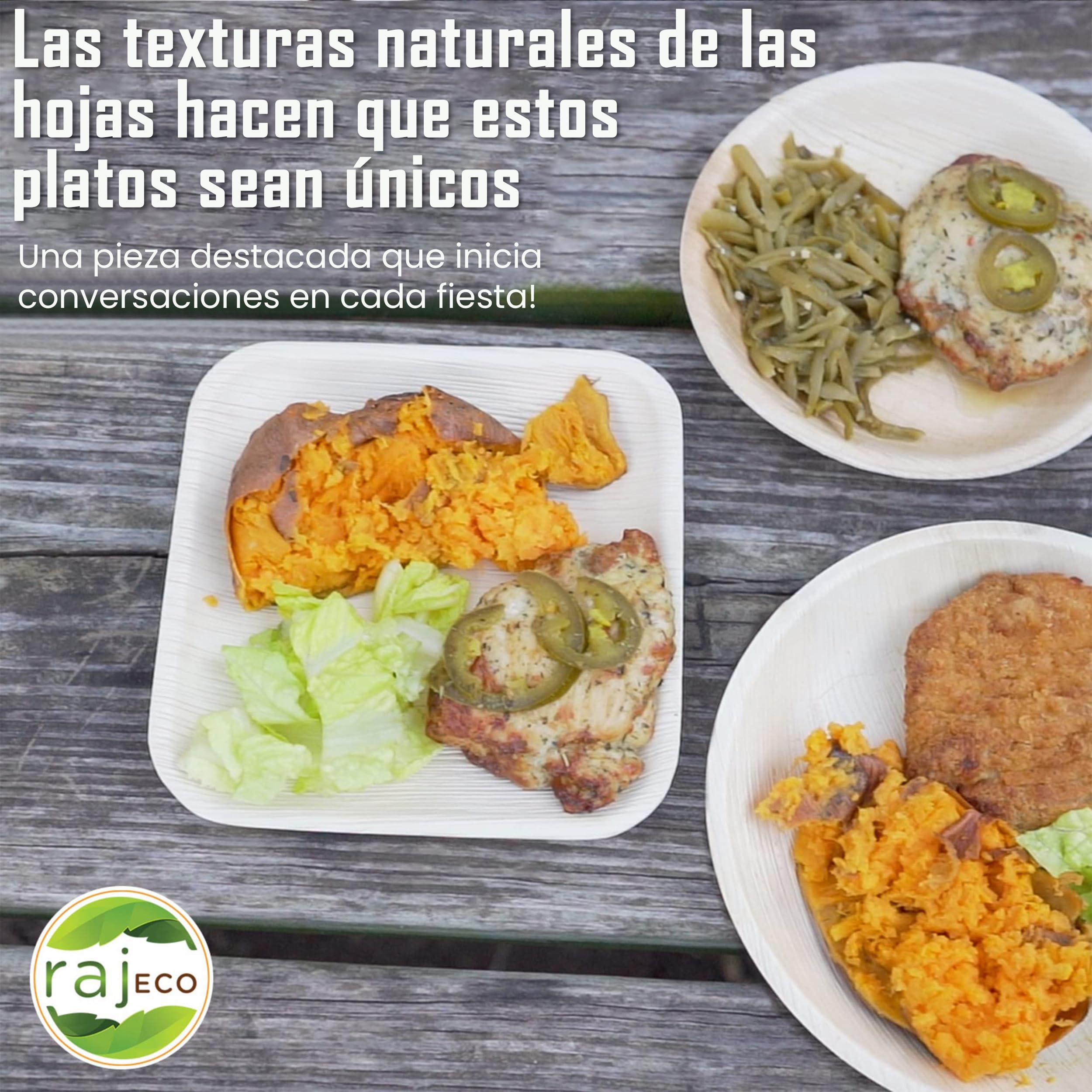 Raj Platos de Hoja de Palma 25 piezas 25 cm redondos | Desechables, resistentes y compostables - Vajilla decorativa para bodas, cumpleaños, camping, BBQ y picnic