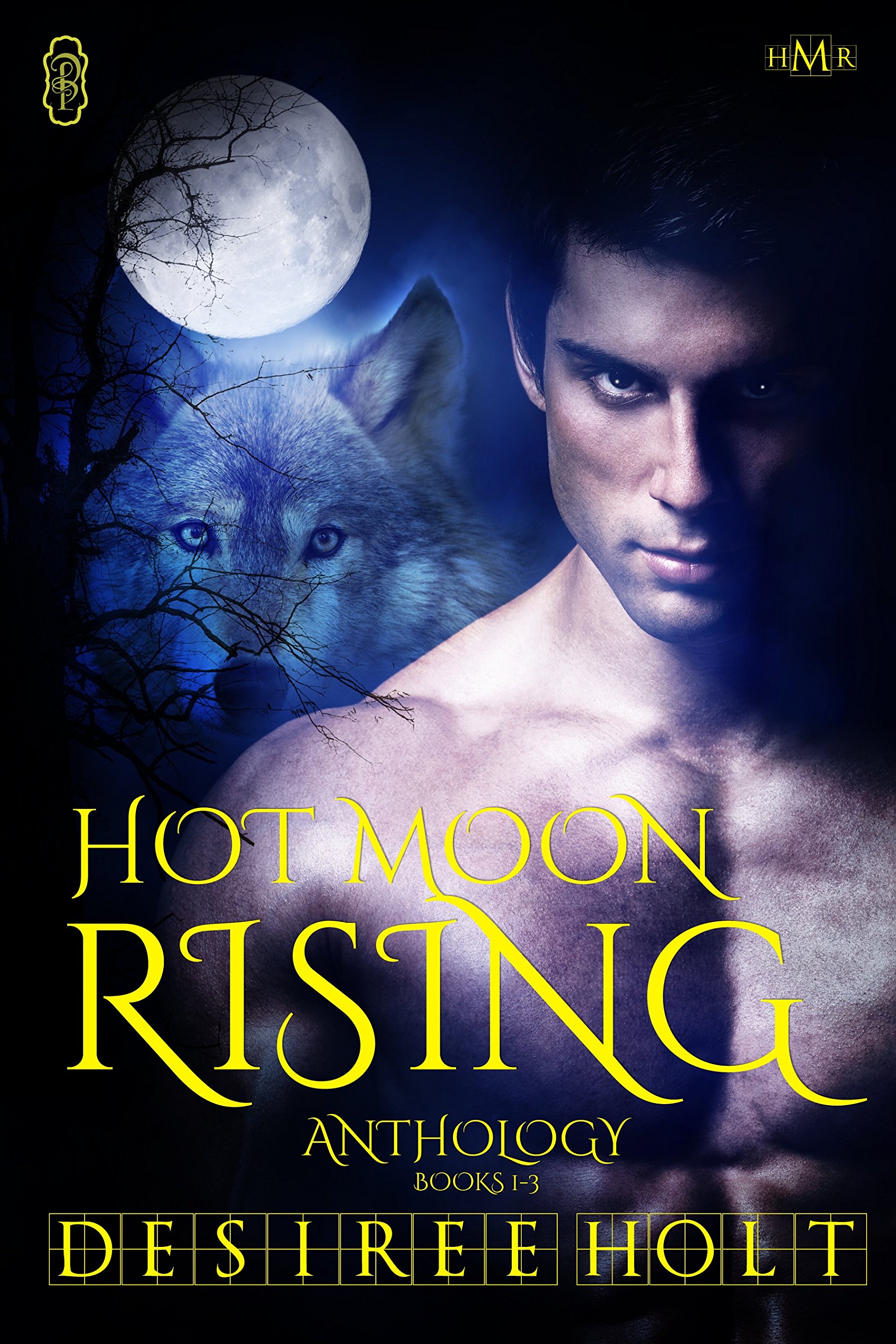 Hot Moon Rising: Volume 1