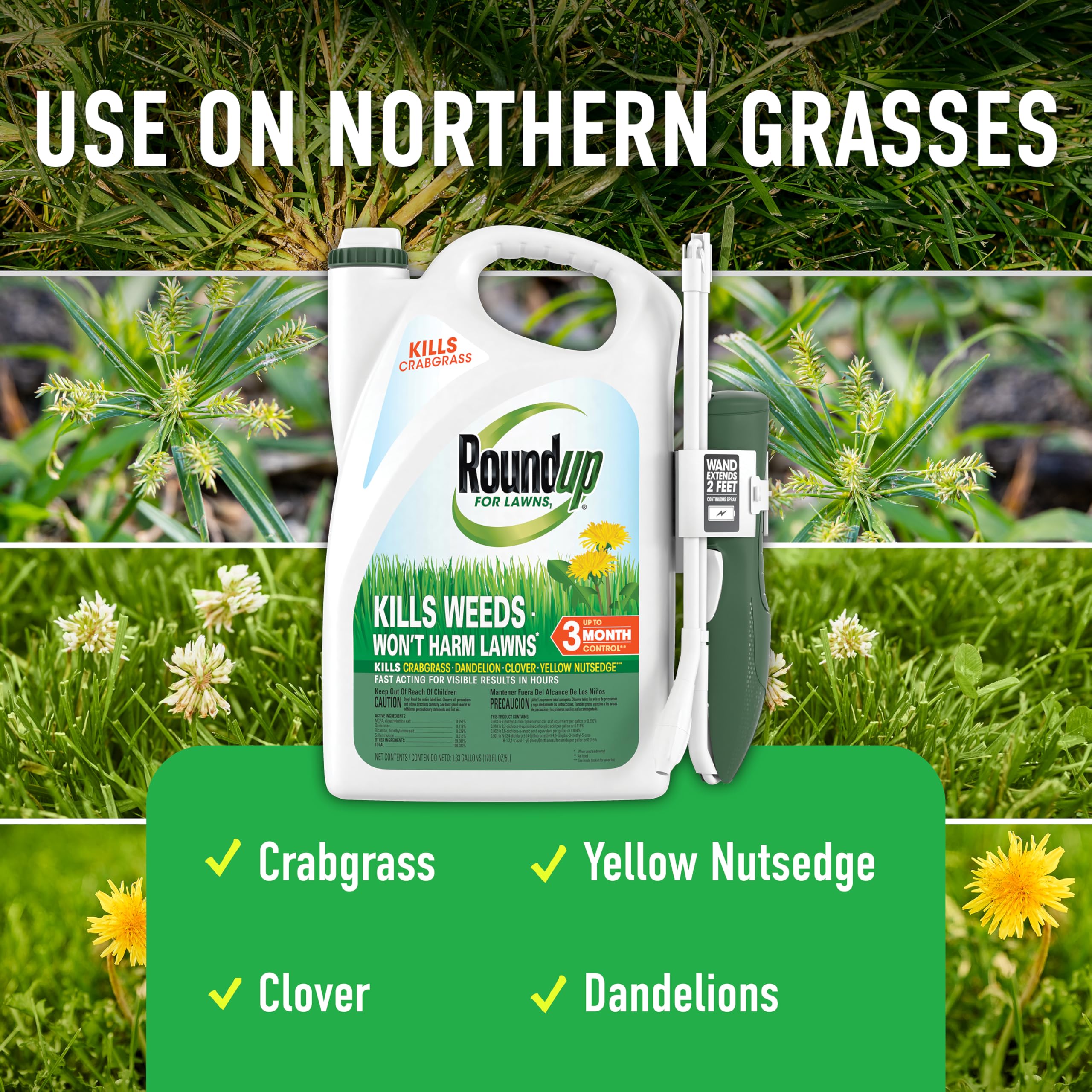 Roundup Weed Killer - Tough Weed Control -3