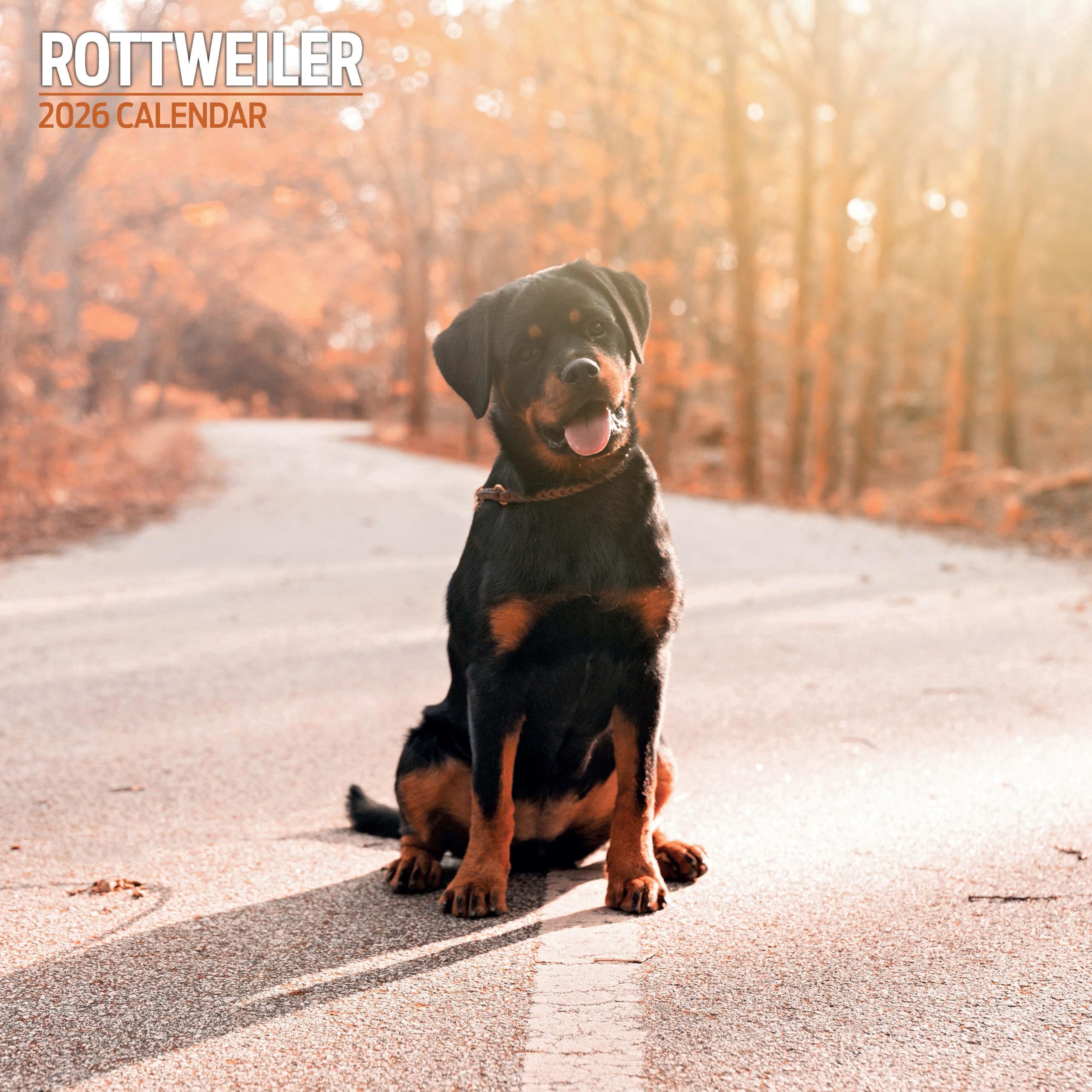 Rottweiler 2026 Traditional Calendar
