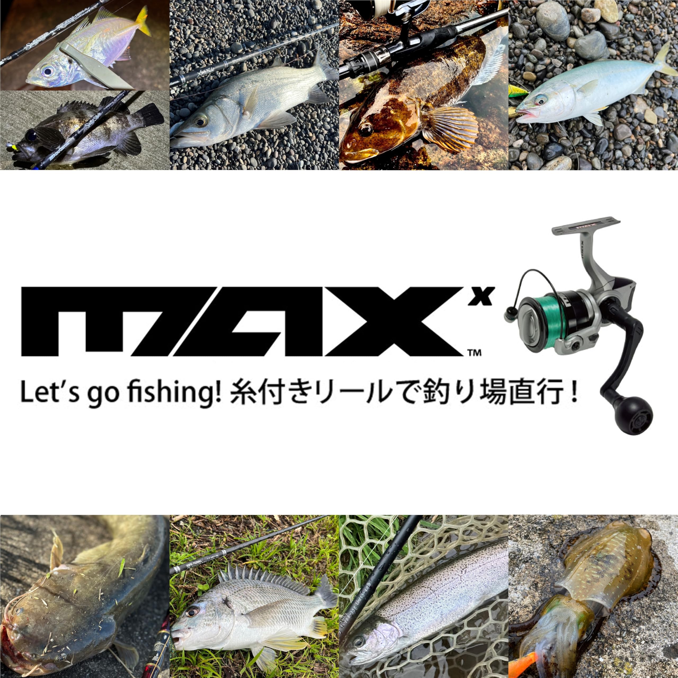Amazon.co.jp: アブガルシア（Abu Garcia）: エギング