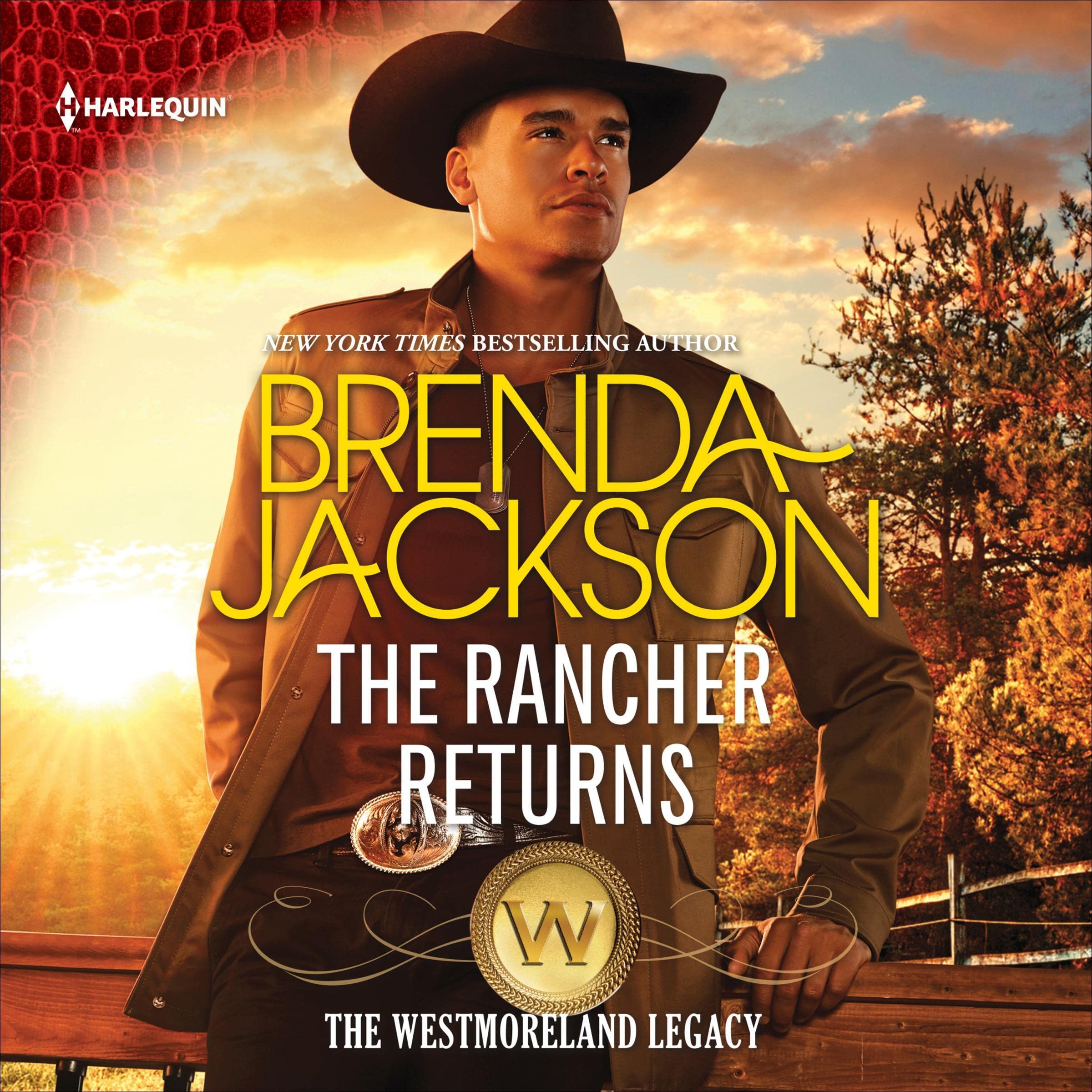 Cover art for The Rancher Returns
