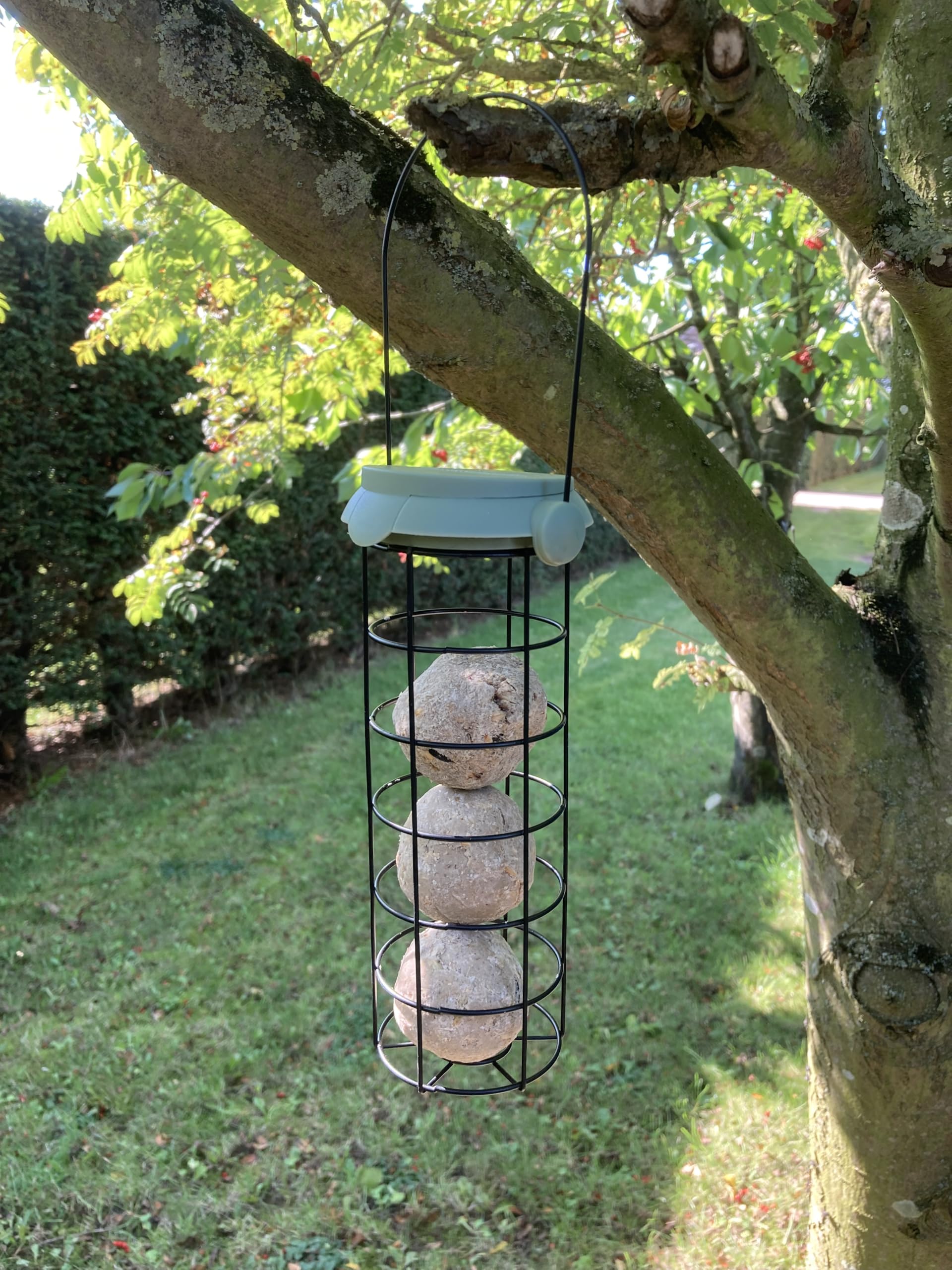 Oakdale Flip Top Premium Filled Fatball Garden Wildbird Birdfeeder, Multicolor - Image 4