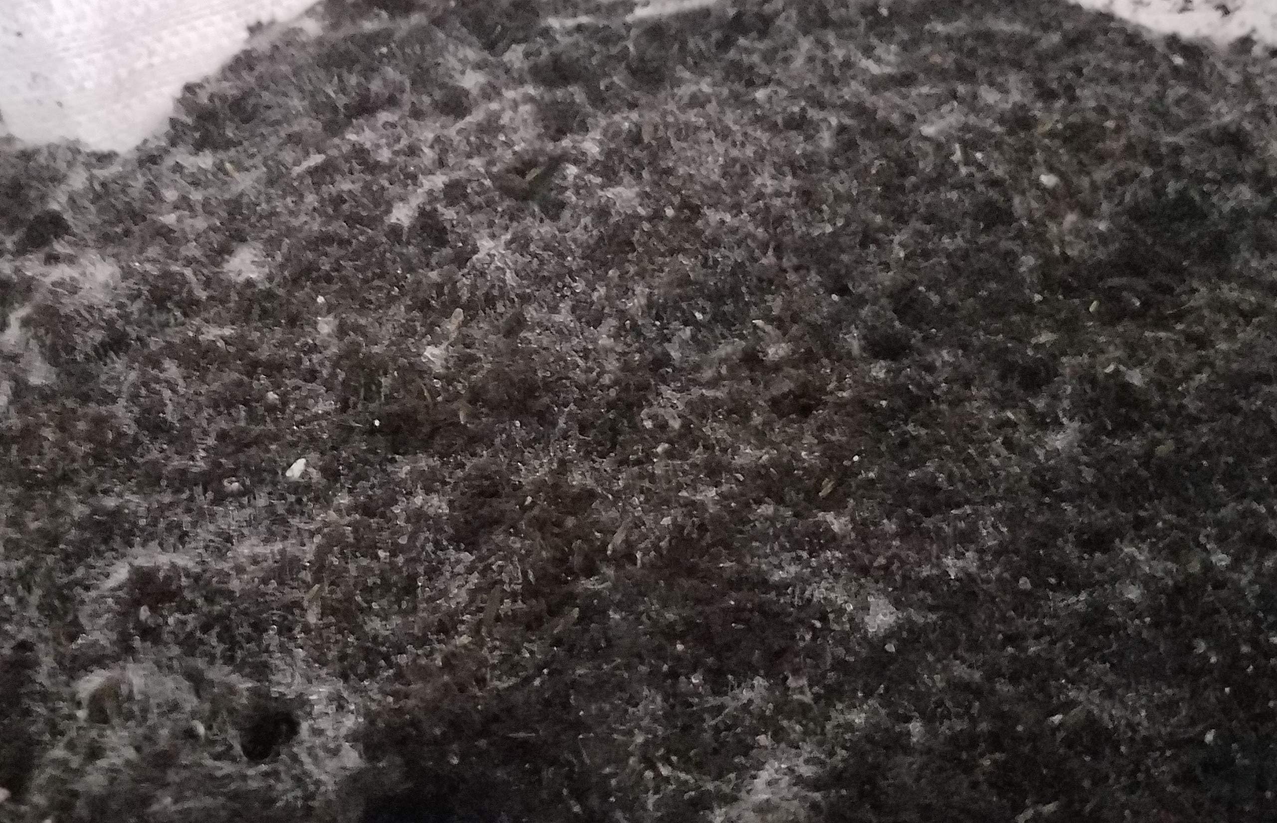 Compost Tea Recipe - LiFeCuBe -1 Cubic Foot of High Grade Compost Ready to Brew