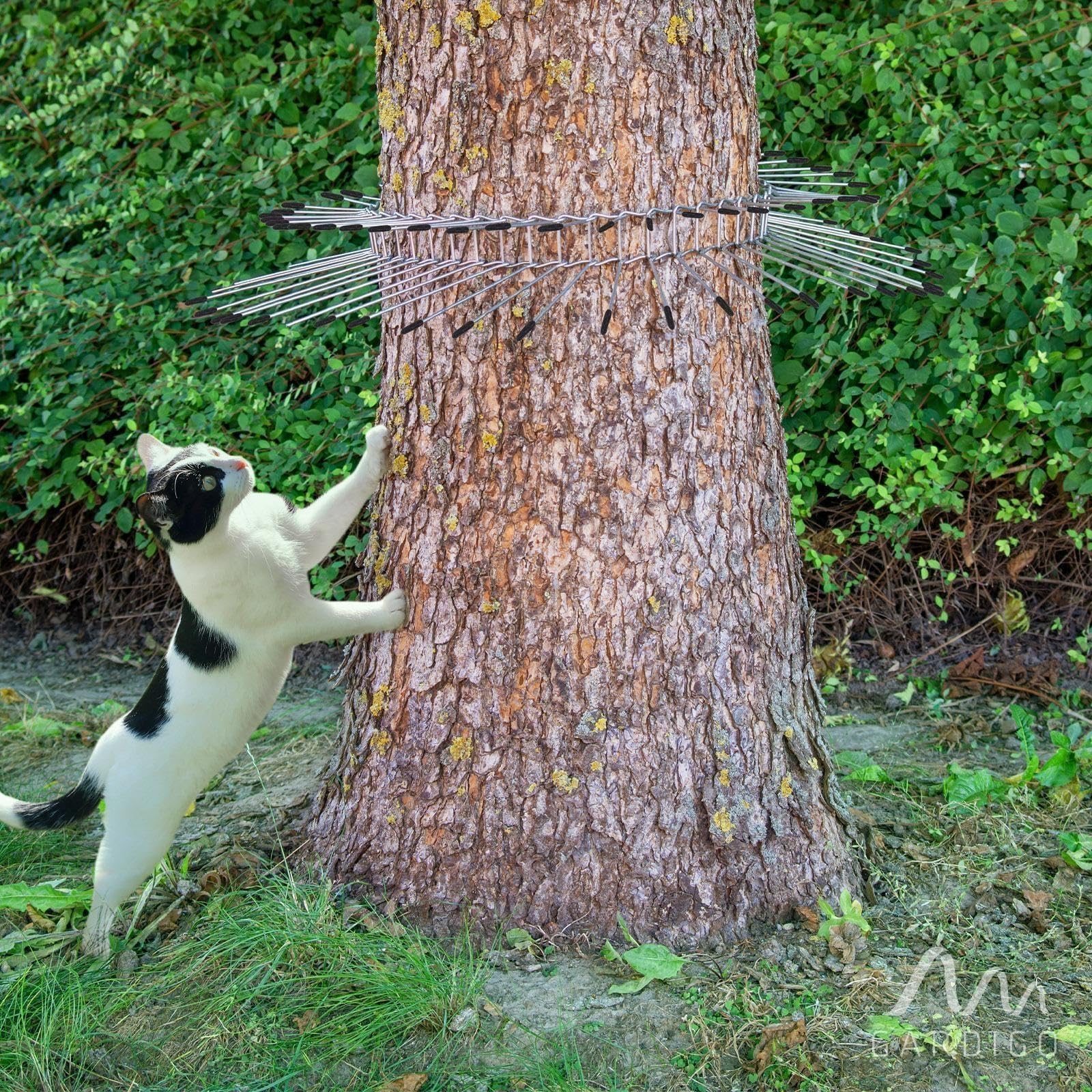 GARDIGO Ceinture Anti-Chats pour Arbres en Acier Galvanisé 21 cm | Barrière anti-chats – Protection des Arbres – Acier galvanisé – Contre les Martres et Ratons Laveurs – Modulable