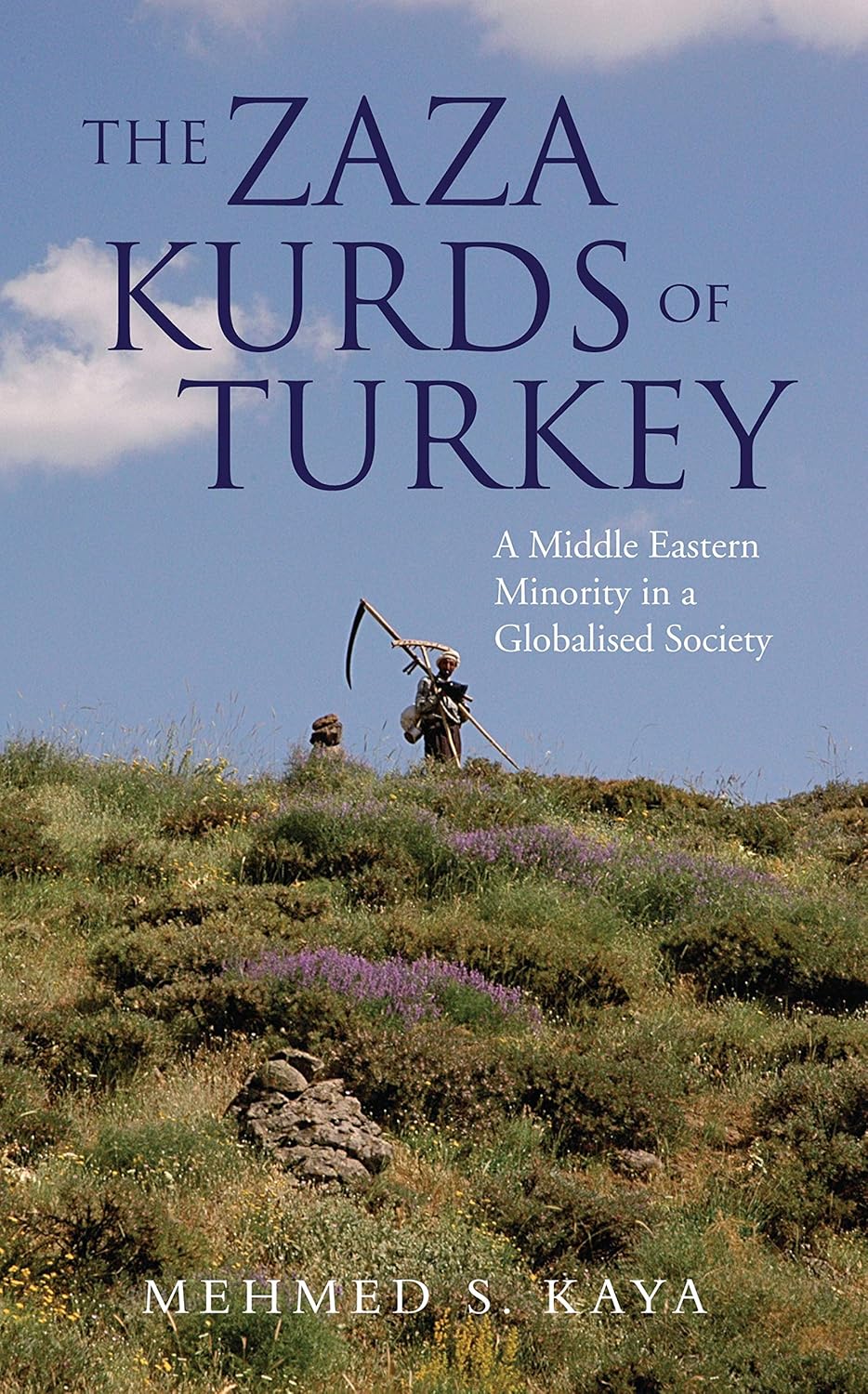 The Zaza Kurds of Turkey: A Middle Eastern Minority in a Globalised Society (Library of Modern Middle East Studies)      Kindle Edition