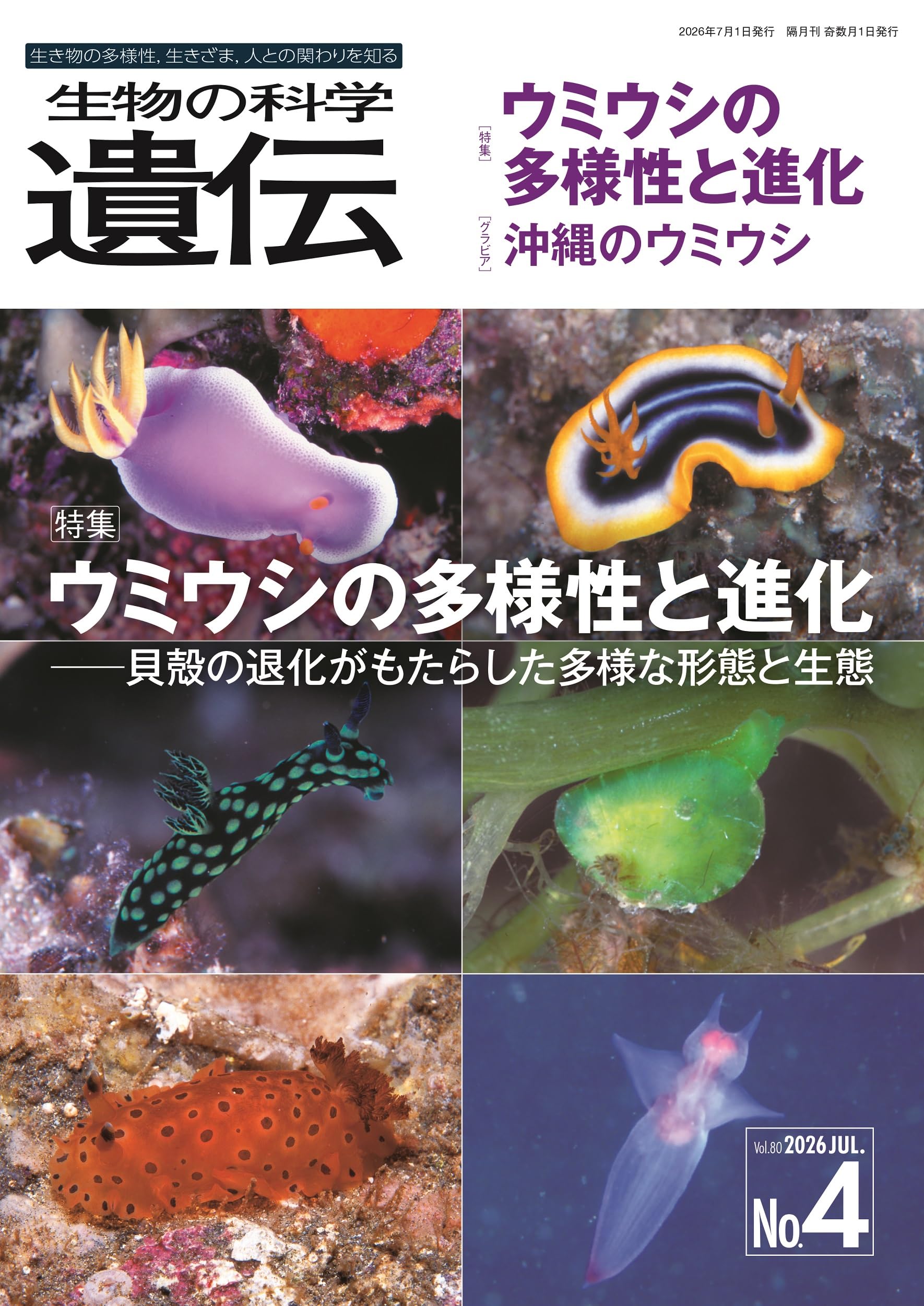 生物の科学 遺伝 2026年7月発行号(Vol.80‐No.4): ウミウシの多様性と