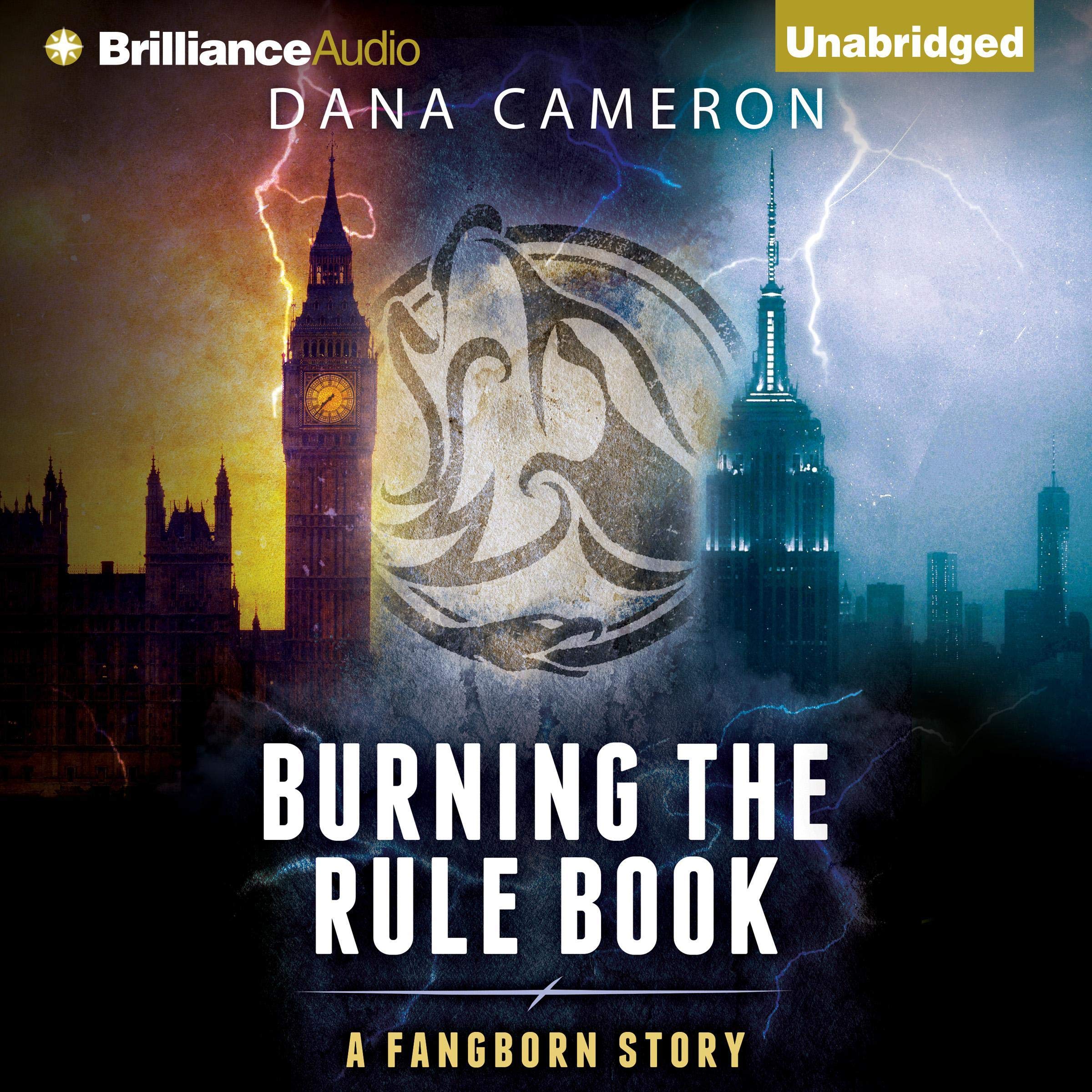 Cover art for Burning the Rule Book