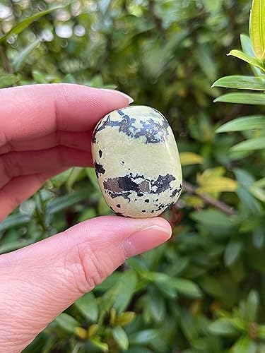 Miniatura 143 de GAF TREASURES Piedras pulidas de ojo de tigre de 1/2 libra, piedra preciosa natural pulida, cristales curativos de ojo de tigre (ojo de tigre)