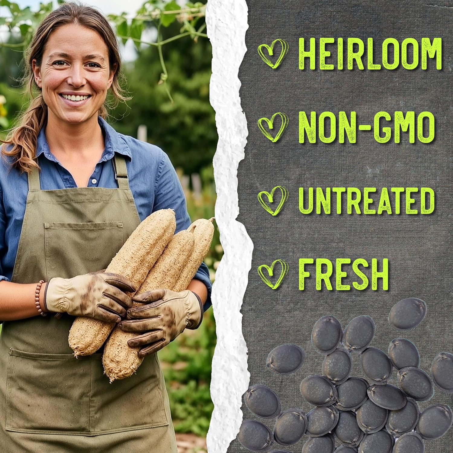 Seed Needs Luffa Seeds for Planting Loofah Sponge Gourds - Non-GMO Heirloom & Untreated Veggie Seed to Plant a Home Grown Outdoor Vegetable Garden (20 Packs)