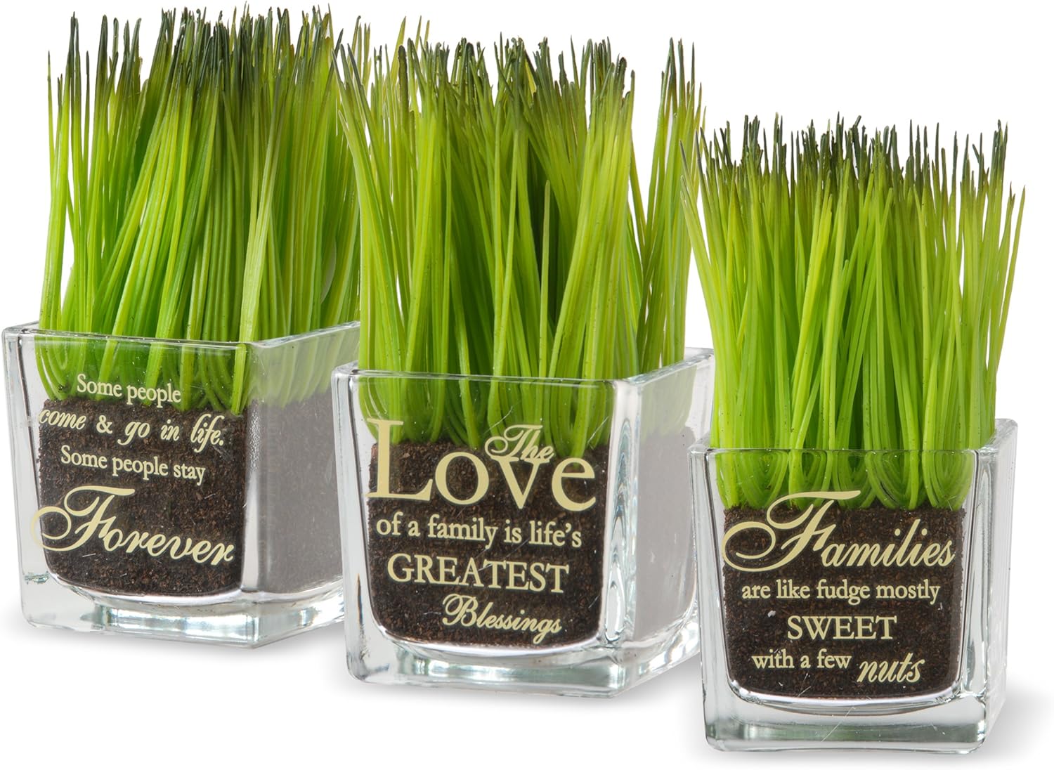 National Tree Company Plant Décor | Includes Glass Cups | 3-Piece Assorted Plant Set