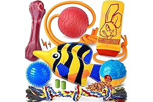 Large Dog Toy Pack for Aggressive Chewers