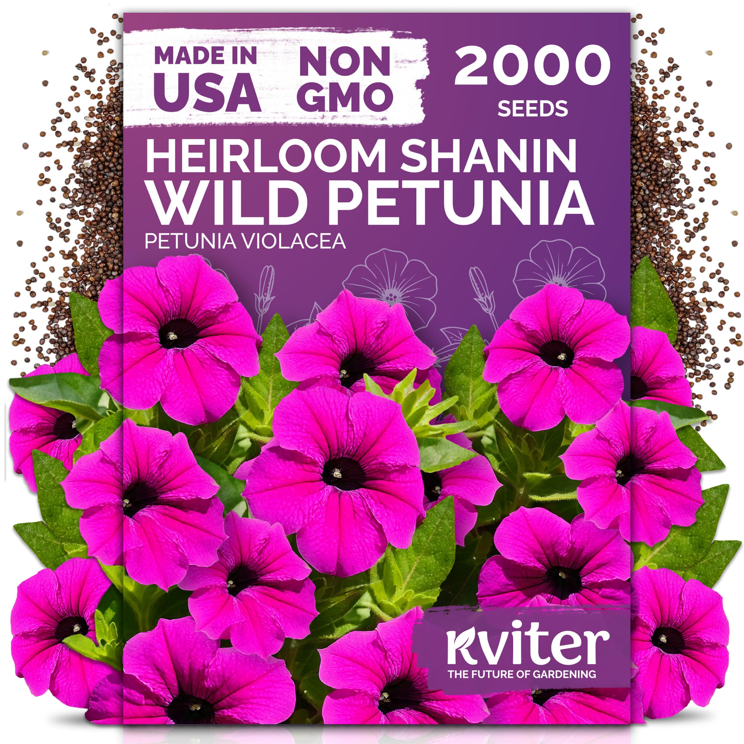 2,000 Shanin Wild Petunia Heirloom Flower Seeds, Pеtuniа Viоlacea
