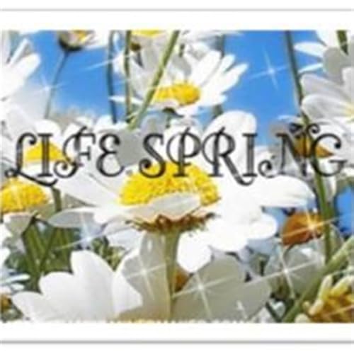 LifeSpringShop - //medicalbooks.filipinodoctors.org