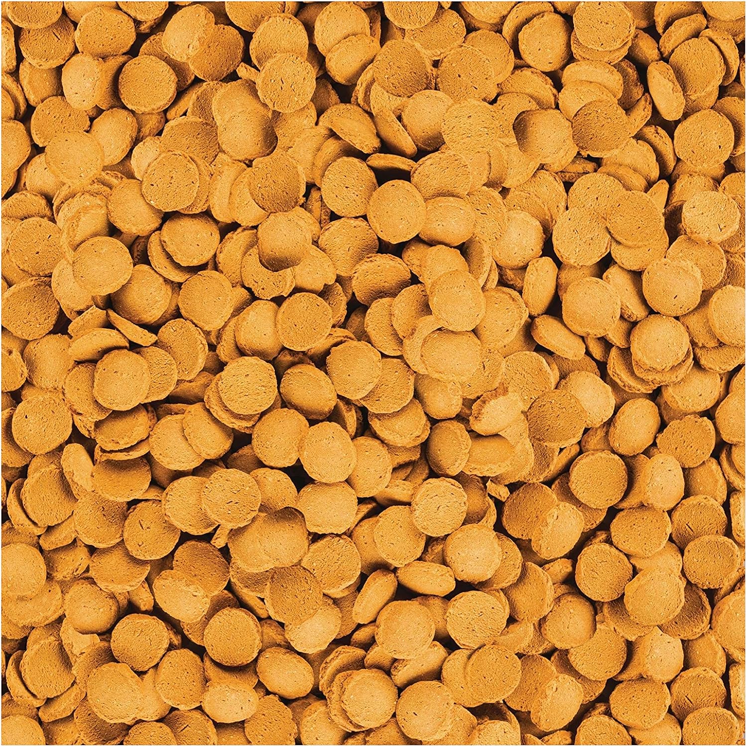 Tetra ShrimpWafers Complete Diet for Catfish and Loaches 3 Ounce,(Pack of 2) image 3