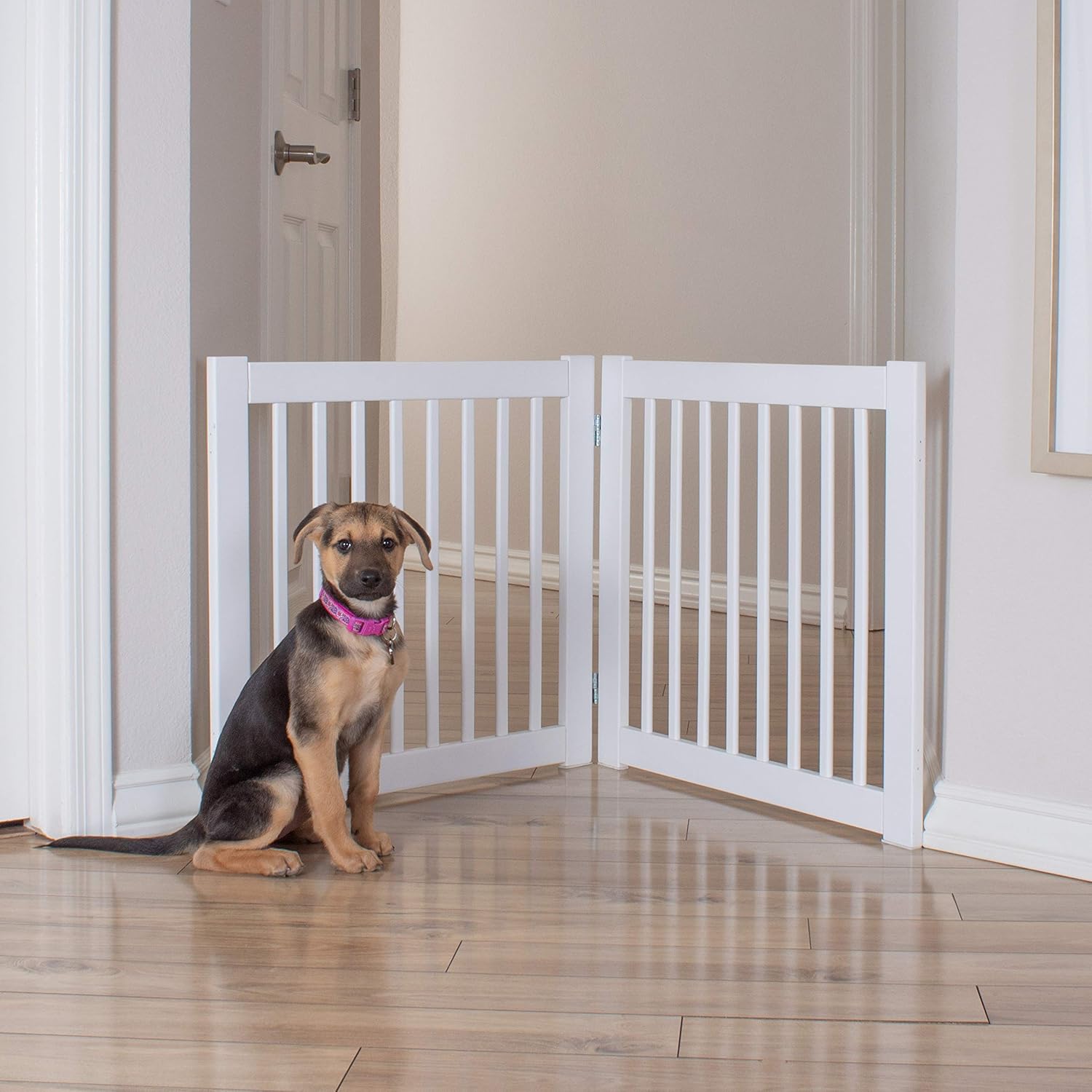 Primetime Petz 360 Pet Gate Extension,White