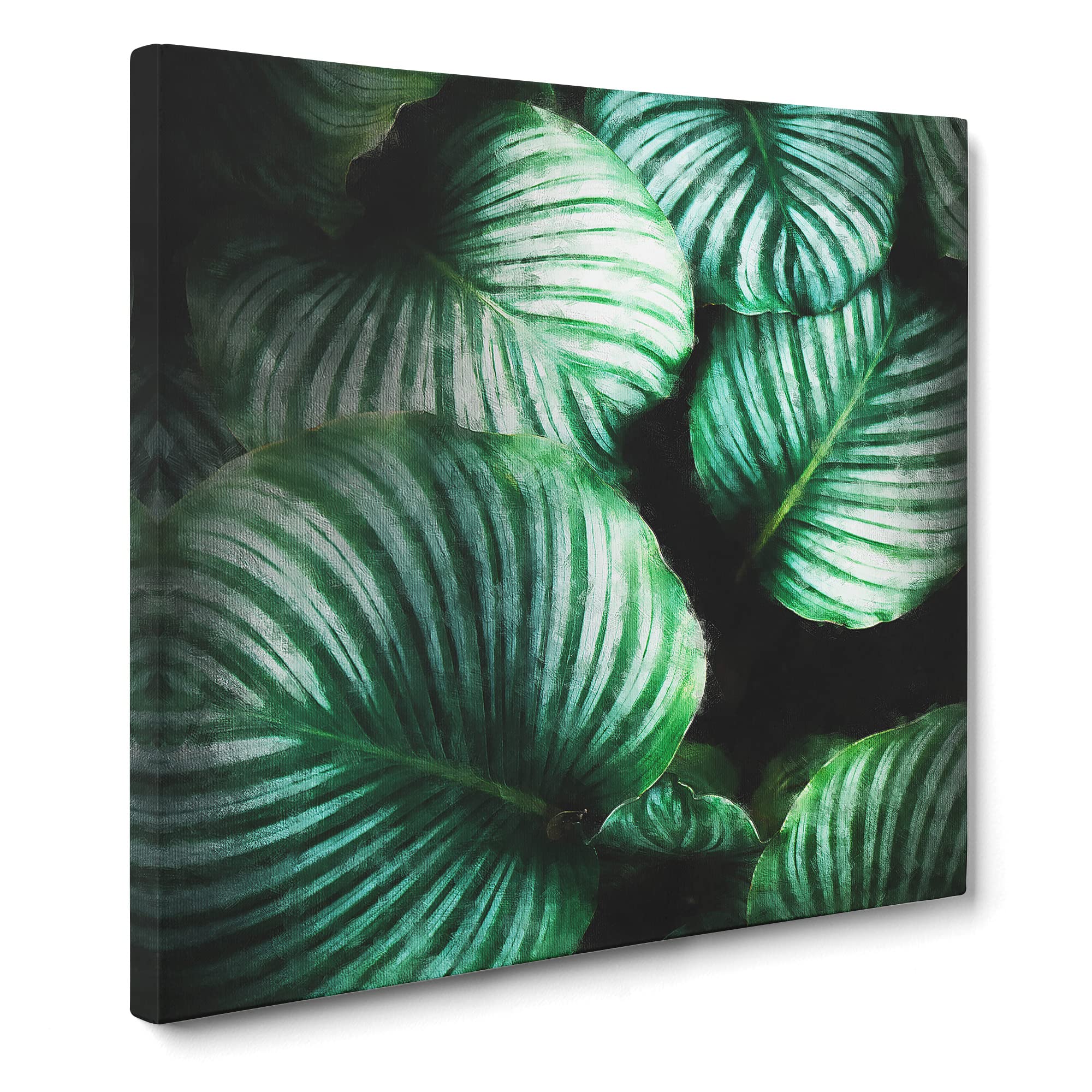 Gathered Green Plant Leaves Canvas Print, Mixed, 35L x 35W cm
