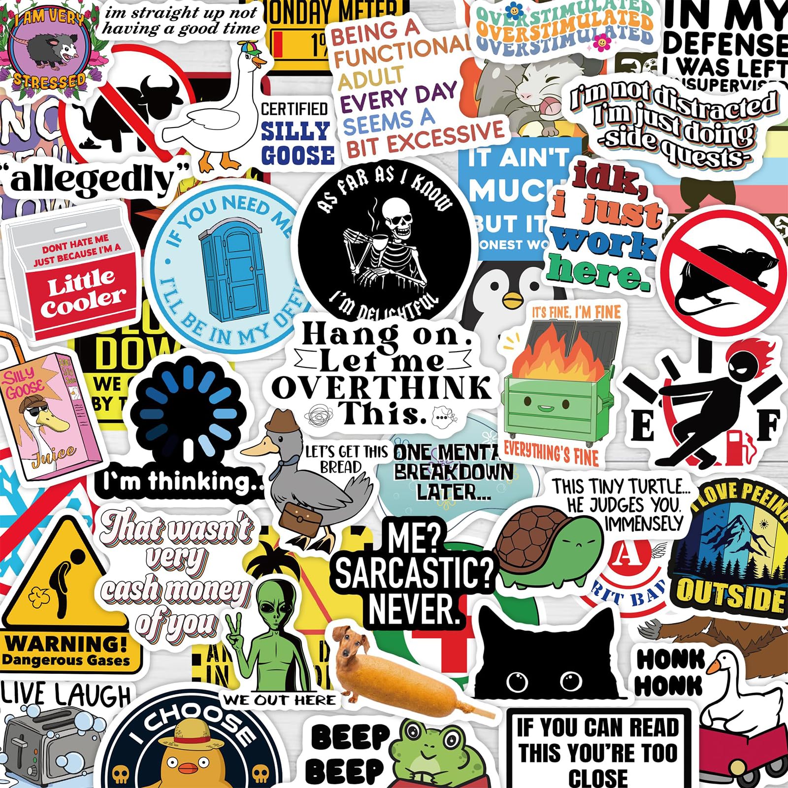 Nymora 300 PCS Funny Stickers for Adults - Holographic Meme Vinyl Stickers for Laptop, Kindle, Book, Water Bottle, Phone | Multiple Patterns