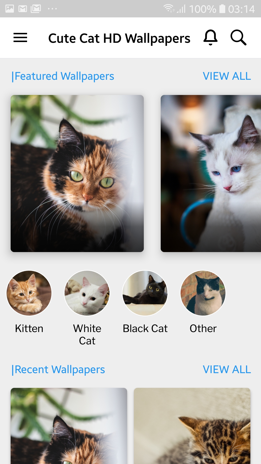 Cute Cat HD wallpapers - App on Amazon Appstore