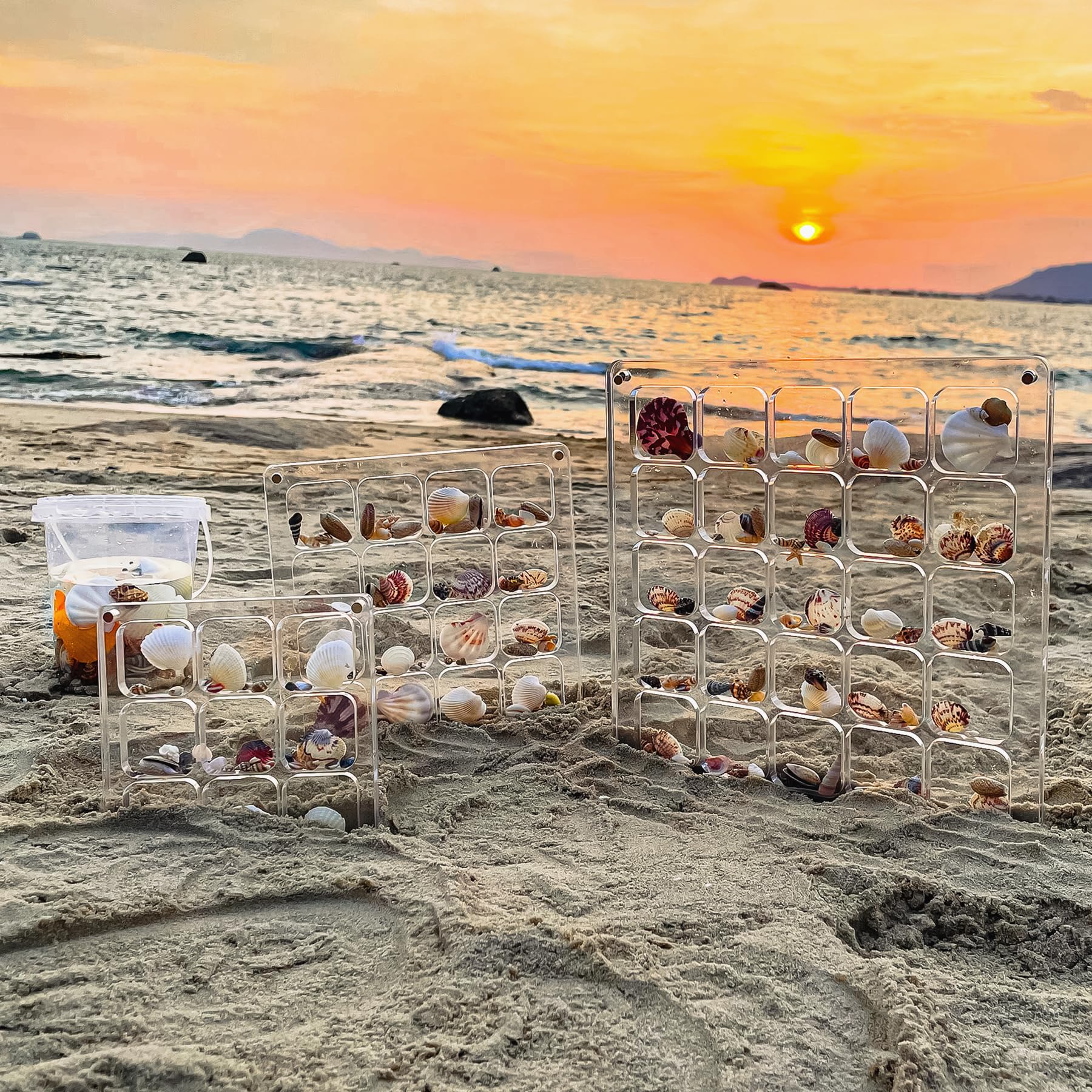 くるくるミラクルマリン Ocean Discovery クリア　スケルトン Amazon.com: MUXIUNT Multi-Style Clear Acrylic Magnetic Seashell