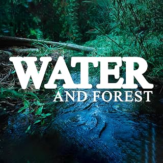 Water and Forest