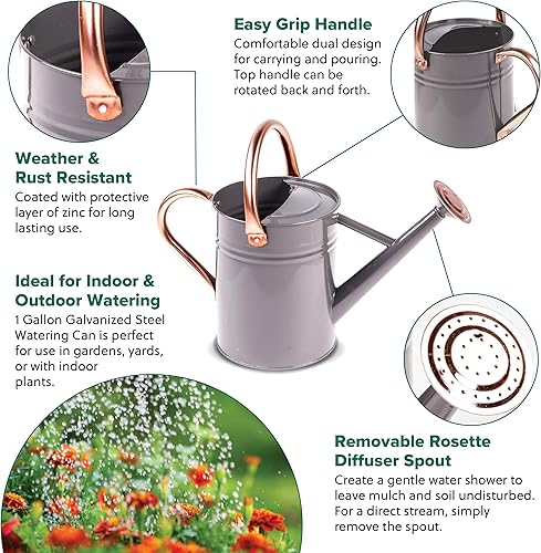 Miniatura 10 de Gardman Regadera clásica brillante de 1 galón R34881 con detalles de cobre, violeta oscuro