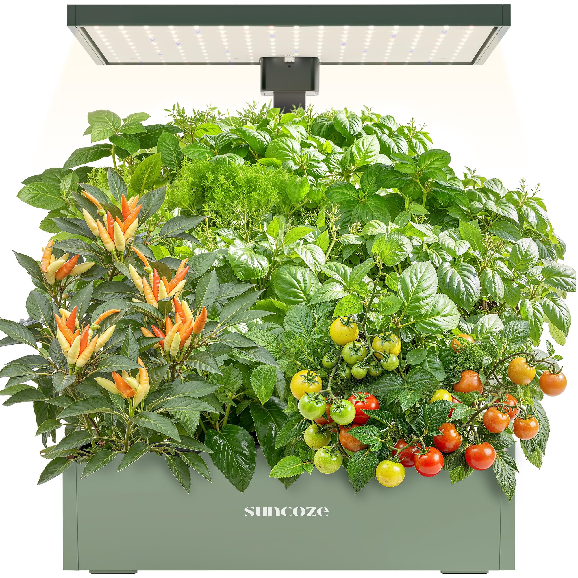 SUNCOZE 20-Pod Hydroponics System