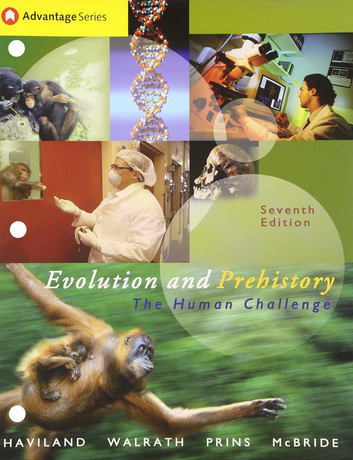 Amazon.com: Cengage Advantage Books: Evolution and Prehistory: The ...