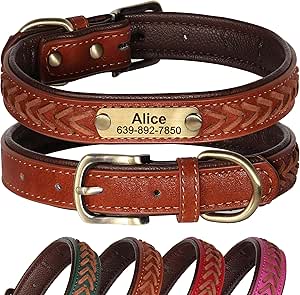 Personalized Dog Collar Tag - Engraved Name Plate, 7 Colors, Faux Leather