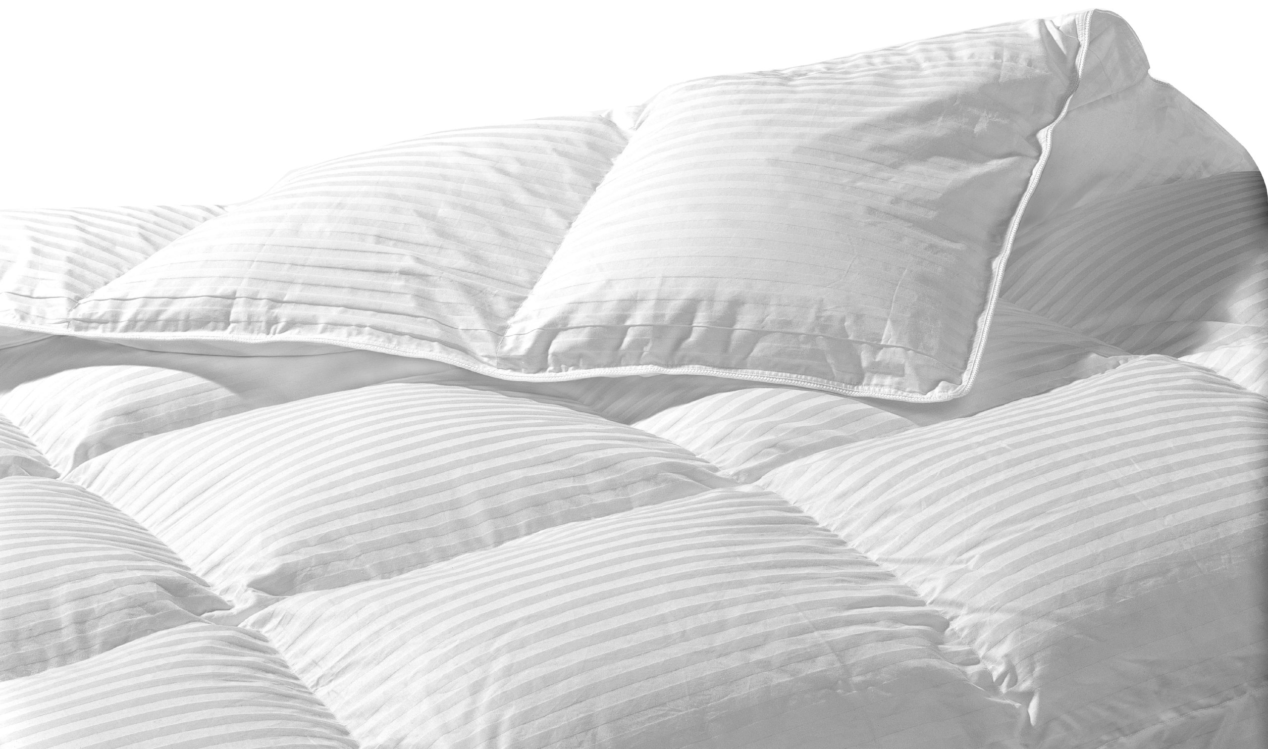 Highland Feather Manufacturing 58-Ounce Lorient European Down Duvet, King, White
