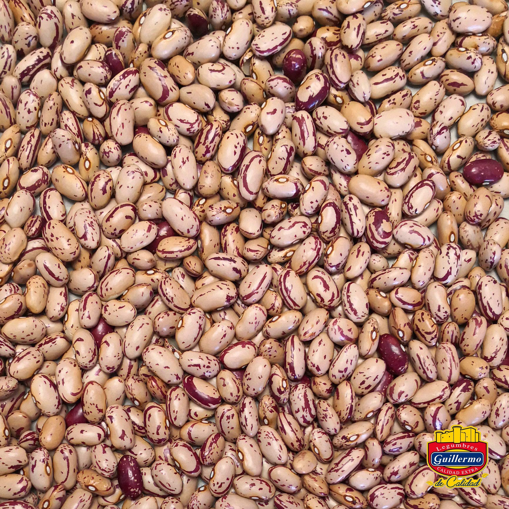 Guillermo | Alubia pinta (León) - Saco 500g. | Gourmet | Calidad Extra | Fuente de fibra, hierro y proteínas vegetales | Tiñe el caldo al cocerse dejando además mucho sabor y aroma