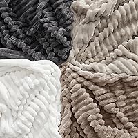 Vista 51 de Bedsure GentleSoft Twin Blanket for Couch - Cozy Soft Blankets for Women, Cute Small Fleece Throws for Girls, Light Grey, 60x80 Inches