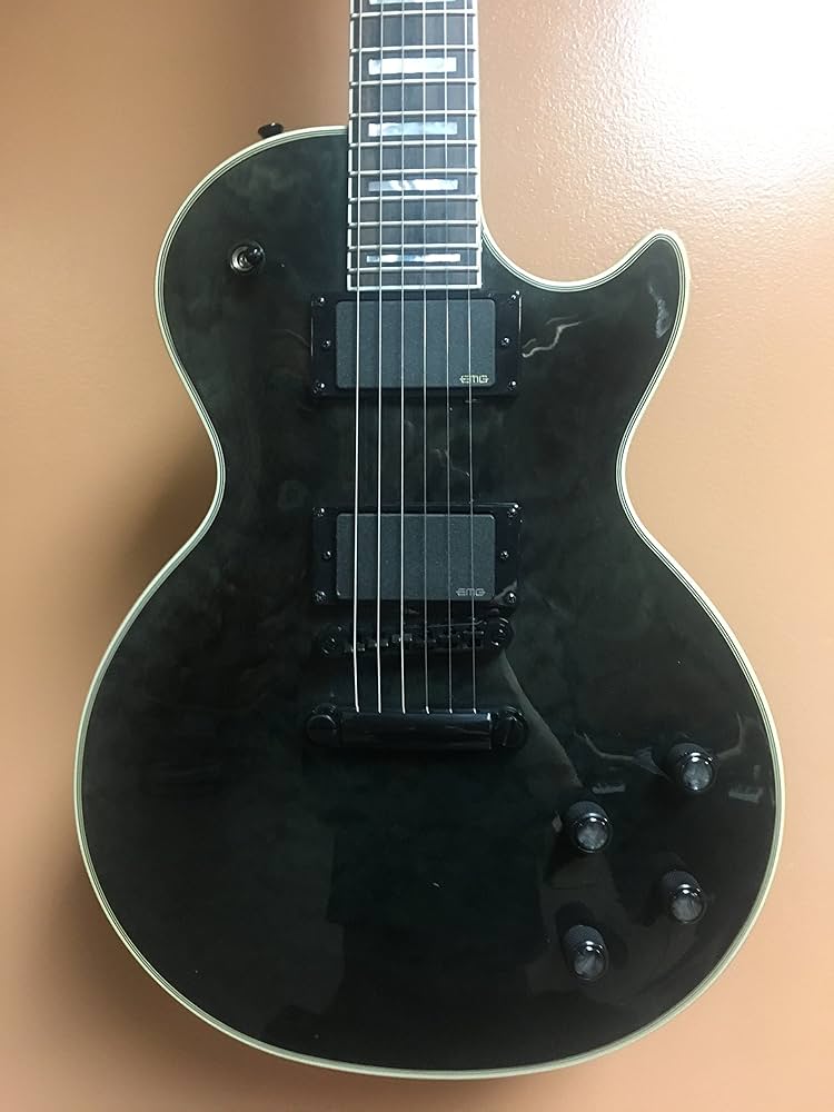 Epiphone Prophecy Les Paul Custom Plus EX Outfit Elektro Gitar