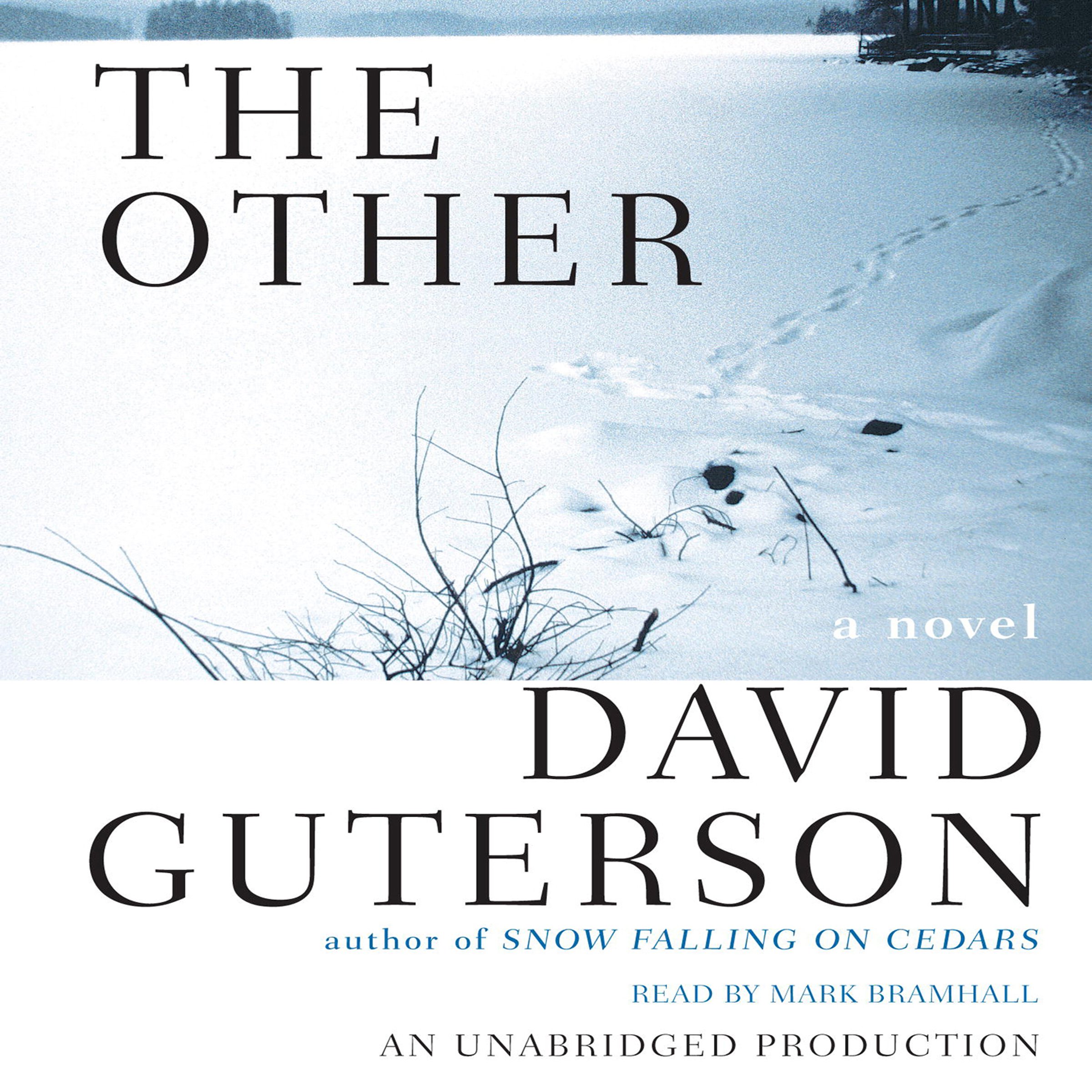 Cover art for The Other
