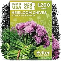Vista 14 de KVITER 700 semillas de bálsamo de limón para plantar (Melissa Officinalis) - Semillas de hierbas medicinales orgánicas y tradicionales - Cultivar