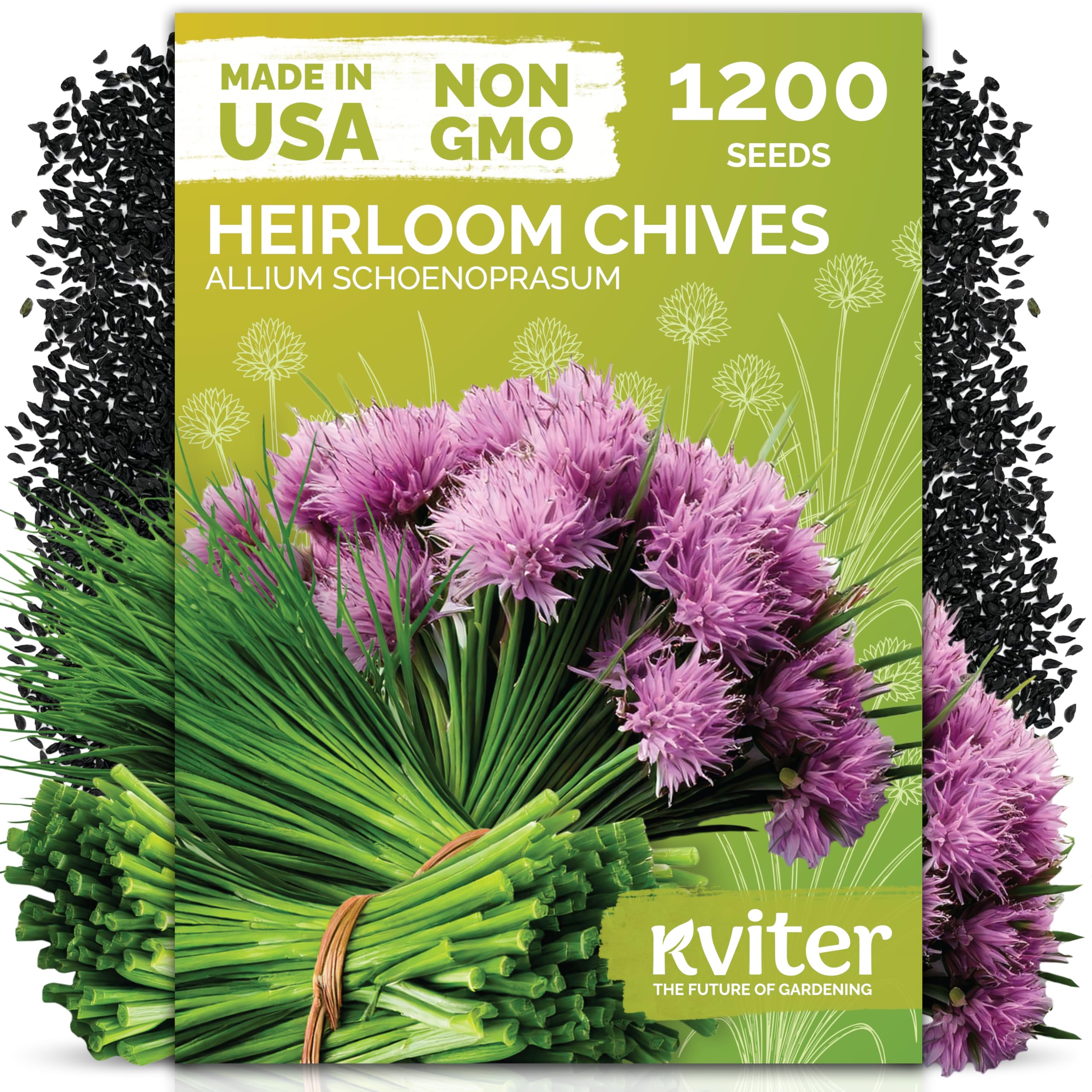 KVITER 1200 Chives (Allium schoenoprasum) Seeds – Hardy Perennial Herb for Gardens and Pots – Mild Onion Flavor, Fast Growing, Perfect for Kitchen Use and Edging